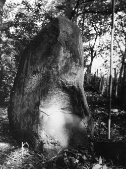 Cammo, standing stone from S. 
RCAHMS 1976