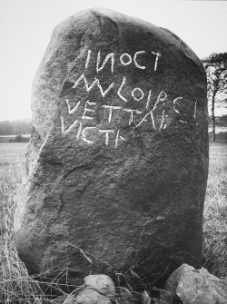 View of the Cat Stane with chalk enhancement.