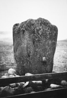 View of standing stone.