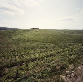 View of archaeological landscape.