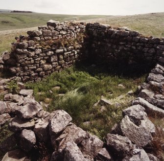 General view of tower.