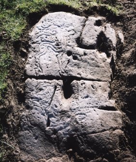 View of carved rock showing deer and peck markings