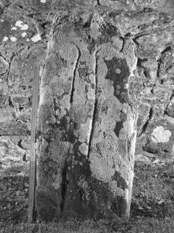 View of incised cross slab (with scale)