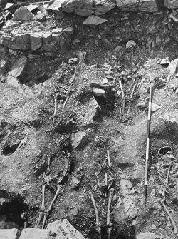 View of excavated burials.