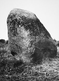 Photograph of the Lochmaben Stone.