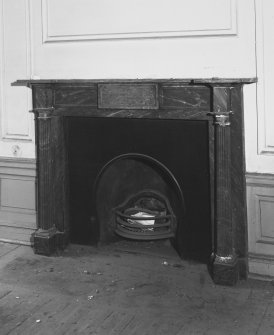Ground floor, South East apartment, fireplace