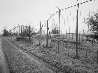 Perimeter fence, detail