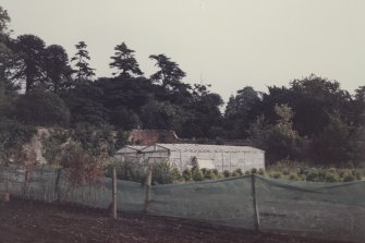 View of arboretum to north of walled garden