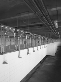 Interior view of pit-head baths - a block of 80 showers