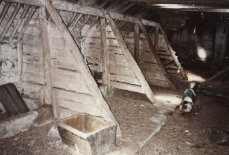 View from S end of byre, photographed 9 May 1994