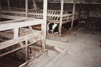 View from NE corner of covered cattle court, photographed 9 May 1994
