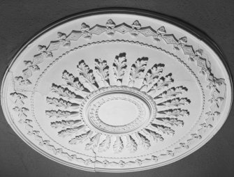 Council Chamber, detail of ceiling rose