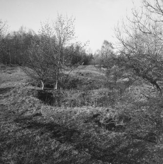 Cults Hill Limestone Quarry, view from E of a series (or bank) of clamp-kilns for lime burning, set along the S edge of the public road.