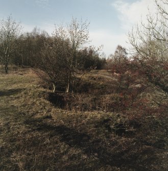 Cults Hill Limestone Quarry, view from E of a series (or bank) of clamp-kilns for lime burning set along the S edge of the public road.