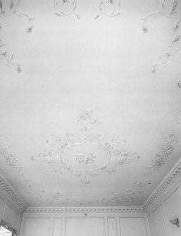 Interior, detail of drawing room rococo ceiling