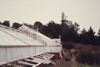 Glasshouses in the walled kitchen garden