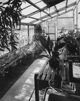 Interior view of green house from E