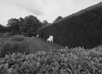 Hedge (to W), view from NNE