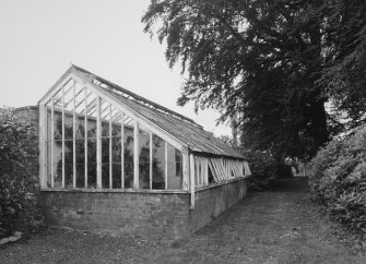 Glasshouse, detail