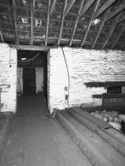 Interior view from SW of cattle court in main block of steading, now occupied by pigs
