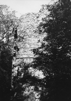 General view of tower.