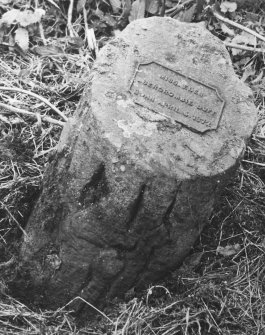 General view of commemorative stone at rear of house, carved in the manner of a rustic log.
Insc: 'Miss Elen Abercrombie Duff. Born April.6.1872'.