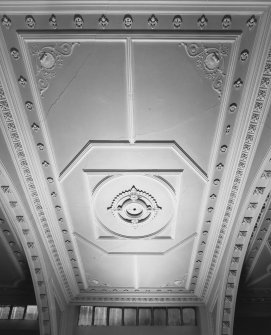 Aberdeen, 19 Belmont Street, Ground Floor, Interior.
Detail of central bay of ceiling.