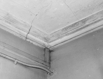 Aberdeen, 4 Castle Terrace, Interior.
Detail of specimen first floor cornice.