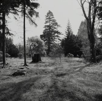 Inveraray Castle Estate, Gardens.
View of the woodland gardens.