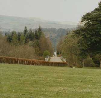 Inveraray Castle estate. Old Castle site.
View of avenue from site of old castle.