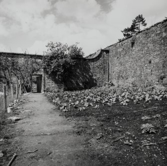 Inveraray Castle Estate, Kitchen Gardens.
General view of the North-East angle of the garden.