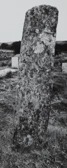 Jura, Tarbert, Cill Chalium Chille.
General view of standing stone.