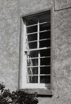Window, detail