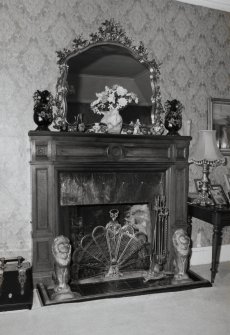 Drawing room, fireplace, detail