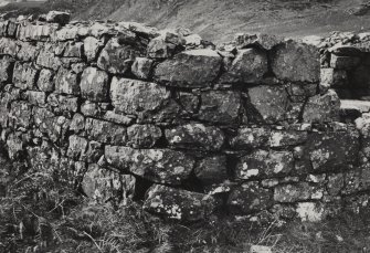 Mull, Calgary, Inivea Township.
View of rounded corner of house.