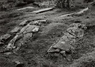 Mull, Pennygown, Caol Fhaoileann.
View of recumbant grave-slabs.