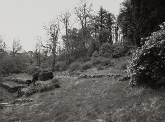 Mull, Pennyghael House.
View of gardens from West.