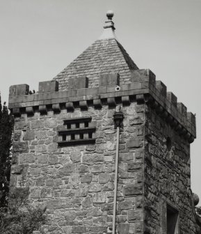Mull, Torosay Castle. 
Detail of doo-cot.
