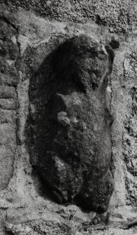 Taynuilt, Muckairn Church.
Detail of sheelagh-na-gigh at West end of South wall.