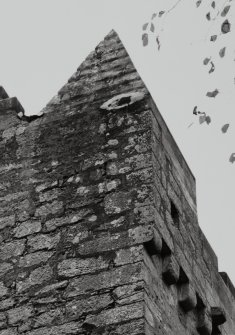 Detail of pyramidal roof at South-East angle.