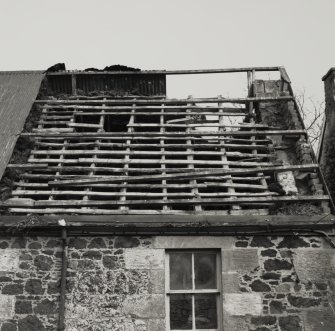 Detail of roof structure (with thatch removed).