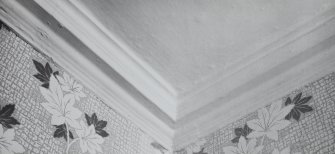 Interior - detail of ceiling cornice in First floor South West apartment