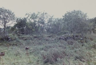 General view of ruin.