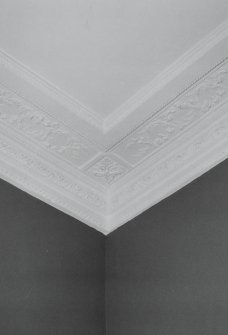 Interior, detail of drawing room cornice