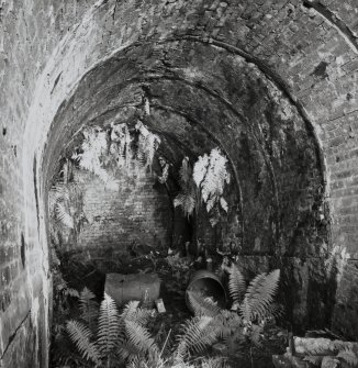 View from SSW of blocked entrance to No. 4 drift mine.