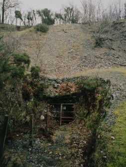 View from NW of the main access to the mine, which is situated to the NW of the shaft in the N side of the adjacent Dalmore Quarry, and comprises a sequence of steps down to a drift mine, which leads to the workings.  This was the route to the workings taken by the miners, materials and stone being carried in the shaft.