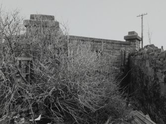 Courtyard walls (partially obscured by bush and rubbish), detail