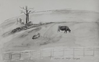 Photographic copy of watercolour showing cows in field.