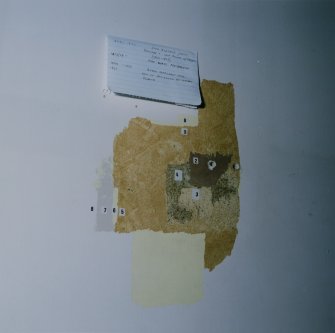 Entrance Hall. Detail of decorative fragment