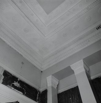Drawing Room. Detail of  N corner ceiling plasterwork